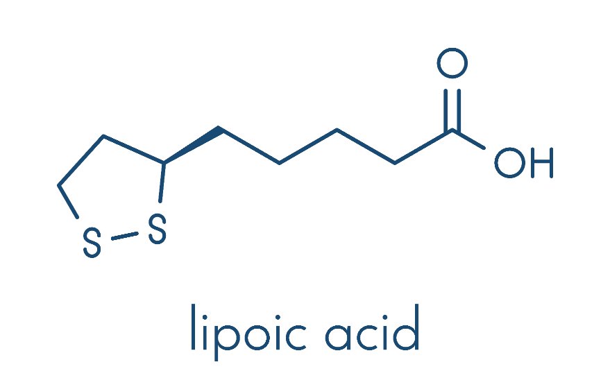 Acide Lipoïque